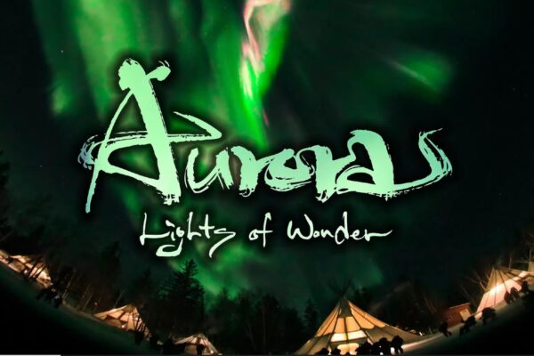 Auroras Lights of Wonder